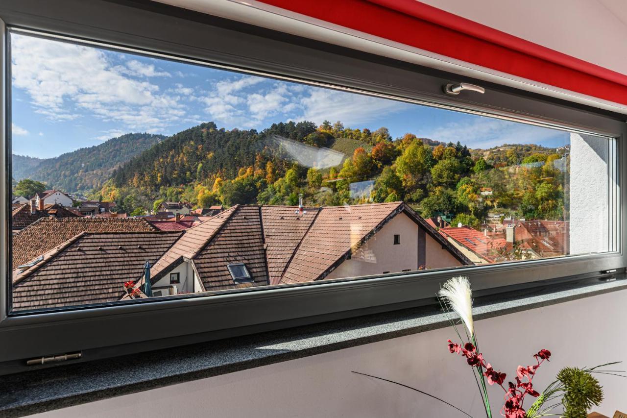 Sun Villas Accommodation ブラショフ エクステリア 写真